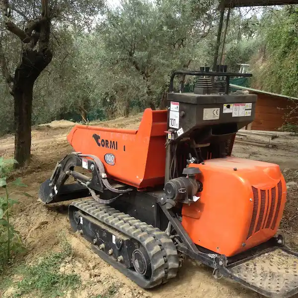 Noleggio motocarriole Roma